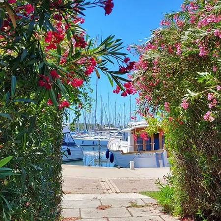 Les Jardins 2 Port De Plaisance Et Piscine 2 Appartamento