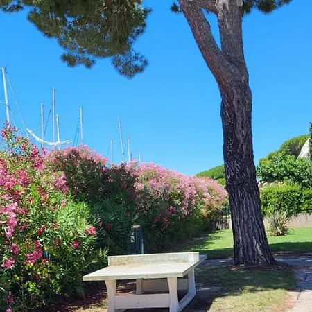 Les Jardins 2 Port De Plaisance Et Piscine 2 Appartamento *
