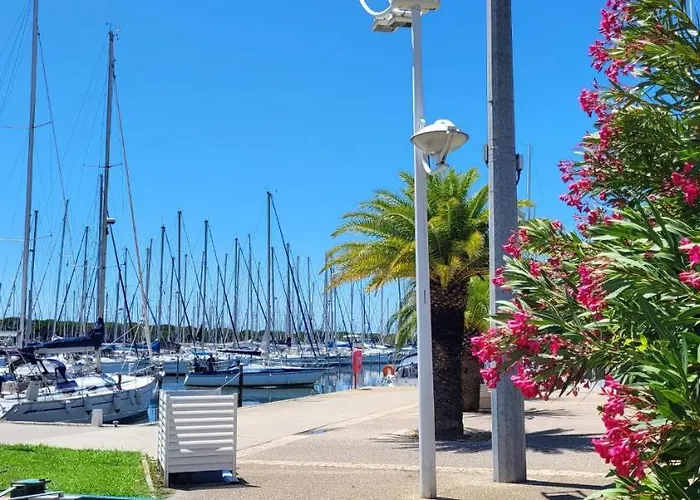 Lejlighed Les Jardins 2 Port De Plaisance Et Piscine 2 Le Grau-du-Roi